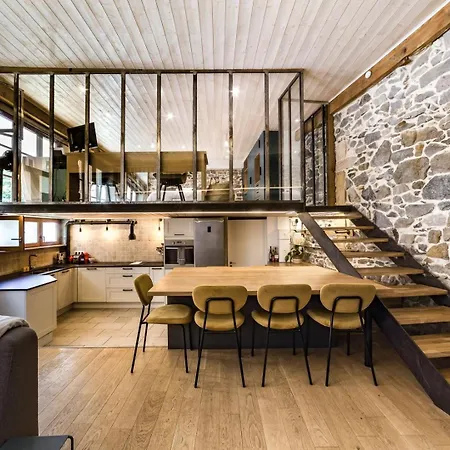 Le Duplex Des Pentes Ail * Lyon