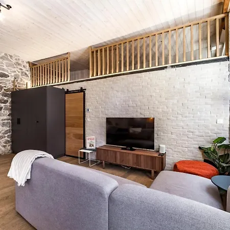 Le Duplex Des Pentes Ail * Lyon