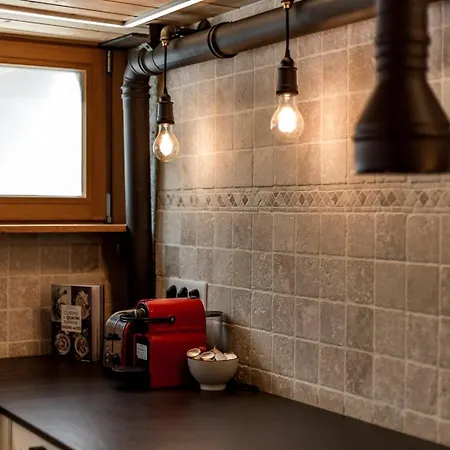Le Duplex Des Pentes Ail Διαμέρισμα Λυών
