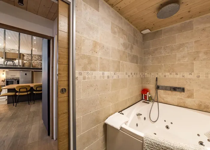 In | Duplex Des Pentes De La Croix-rousse Apartment *