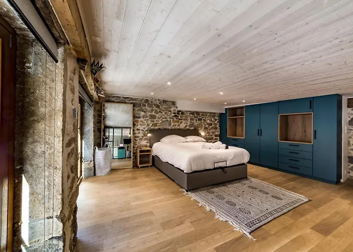 In | Duplex Des Pentes De La Croix-rousse Apartment